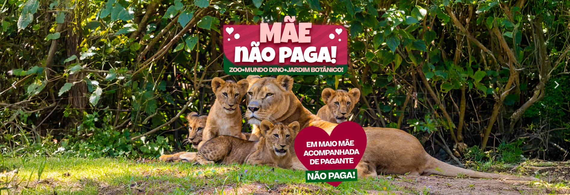 Zoológico SP